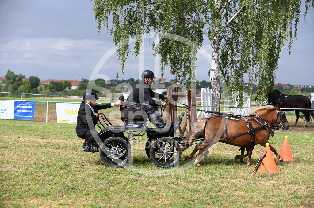 DSC_8853 | sattelsport - Realisiert mit Pictrs.com