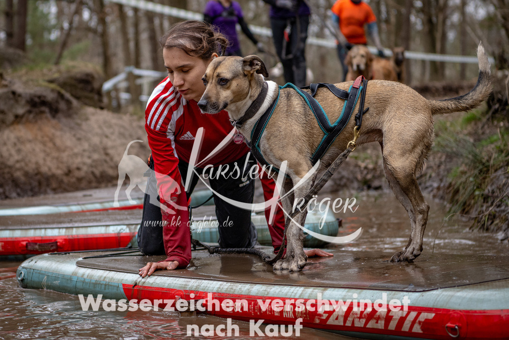 1233DSC_7016 | kk-dogfotos