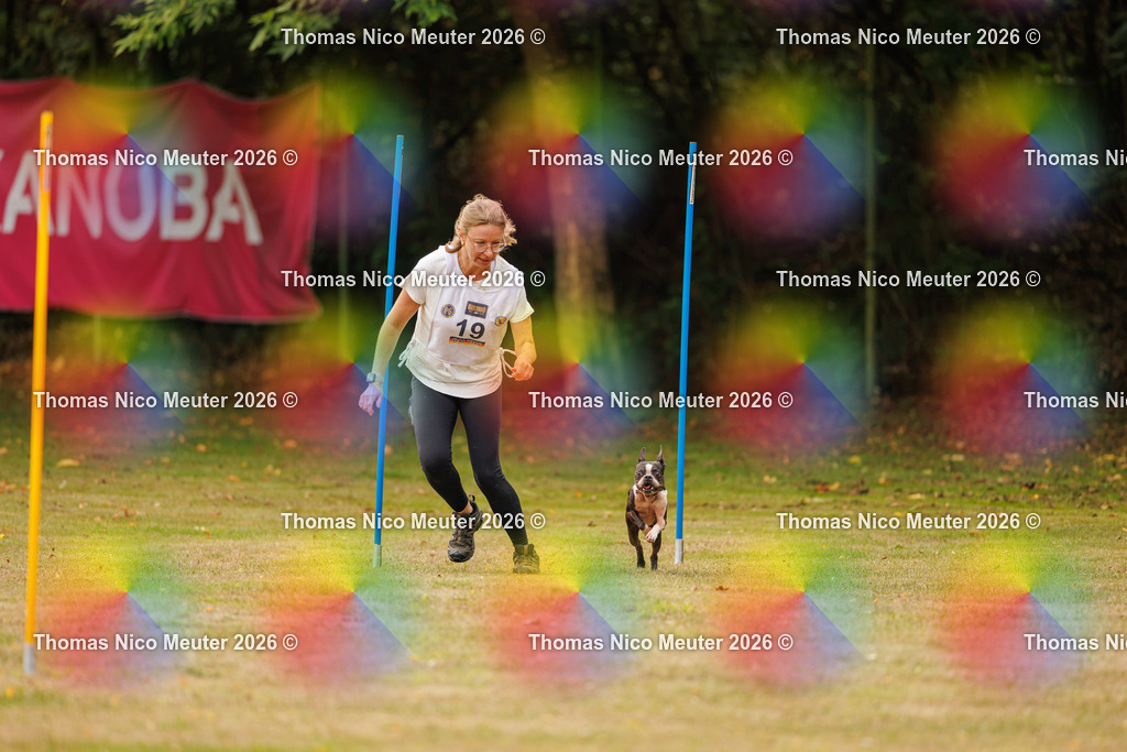 Thomas_Nico_Meuter(C)_22. August 2026_223A2659 | Bild von Thomas Nico Meuter - Realisiert mit Pictrs.com
