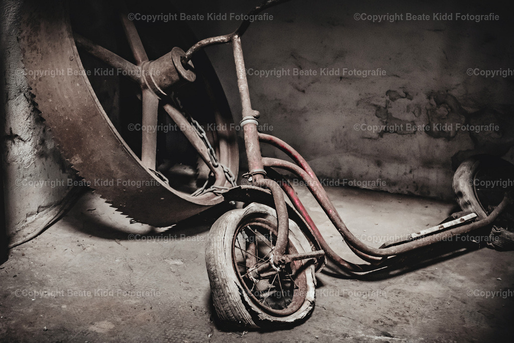 P1500508 | beatekidd-fotografie - Realisiert mit Pictrs.com