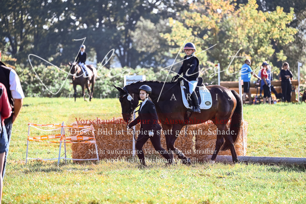 DSC_0248 | Pferde- und Turnierfotografie in Westsachsen. Pferdeportraits, Auftragszeichnungen und intuitive Kunst.
