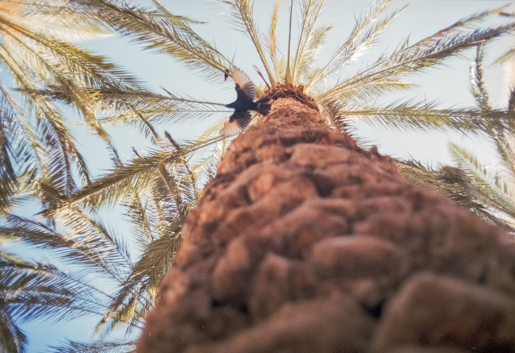 Landschaft in Israel | Online Shop für Christen: Christliche Poster XXL, Plakate, Wandbilder als Leinwand & christliche Postkarten, Kalender, Sticker & Lizenzen zum Download. Die Kunstwerke im christliche Geschenke Shop zeigen die Jahreslosung 2025, Gott, Jesus & mehr.