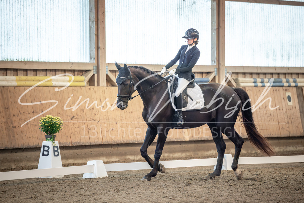 20251011-_3LI6305 | Tierfotografie Pferde, Hunde, Katzen, Haustiere.
Turnierfotografie Reitturniere, Reiten, Springreiten, Dressur in Hanau, dem Main-Kinzig-Kreis und dem Rhein-Main- Gebiet um Frankfurt