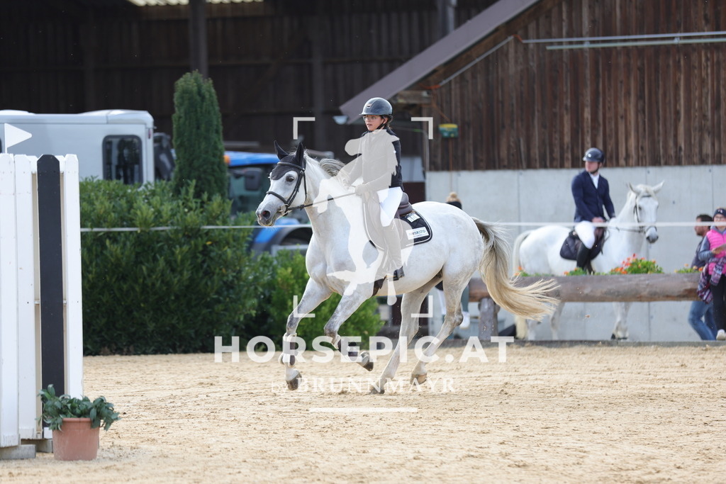 0P6A5050 | Willkommen bei Brunnmayr - Design & Fotografie – Ihrem Spezialisten für Reitturniere und Pferdeveranstaltungen in Oberösterreich, Salzburg und Bayern! Seit über 17 Jahren sind wir leidenschaftlich dabei.