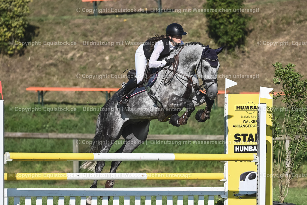 20230908_14-15_Springpferde-A_0076 | equistock