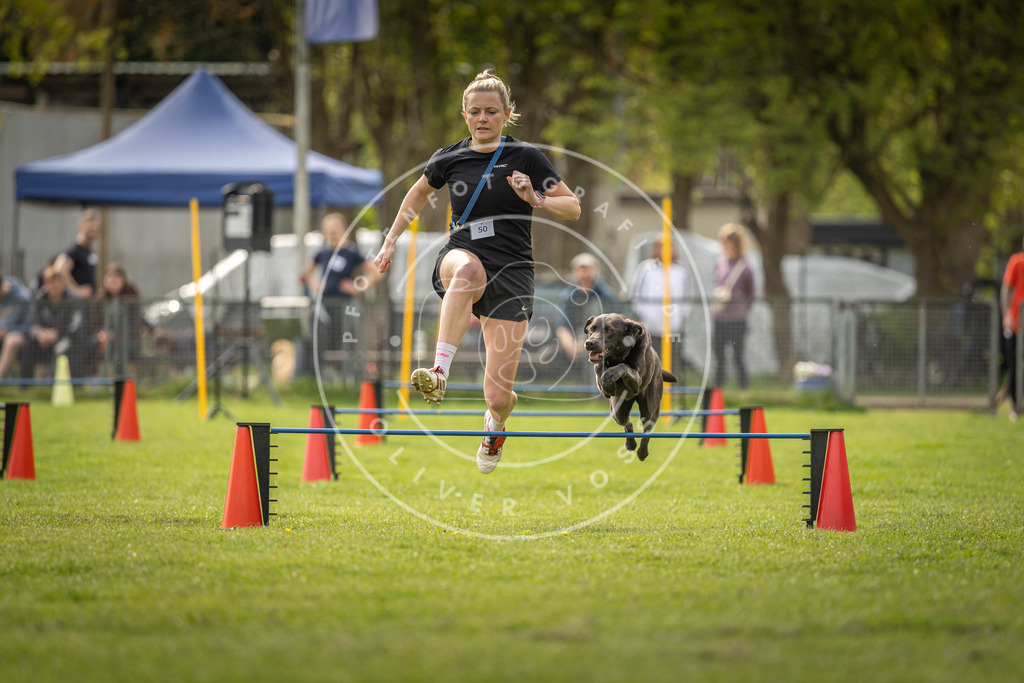Pfotenfotografie_DV3A6101 | Hundefotografie, Tierfotograf, Pfotenfotografie, Fotoshooting Hund, Hunde Portrait, Hundesport, Hundeportraits, Heideshooting, Hunde, Sportfotograf, Hundefotograf, Turnierhundsport, THS,  - Realisiert mit Pictrs.com