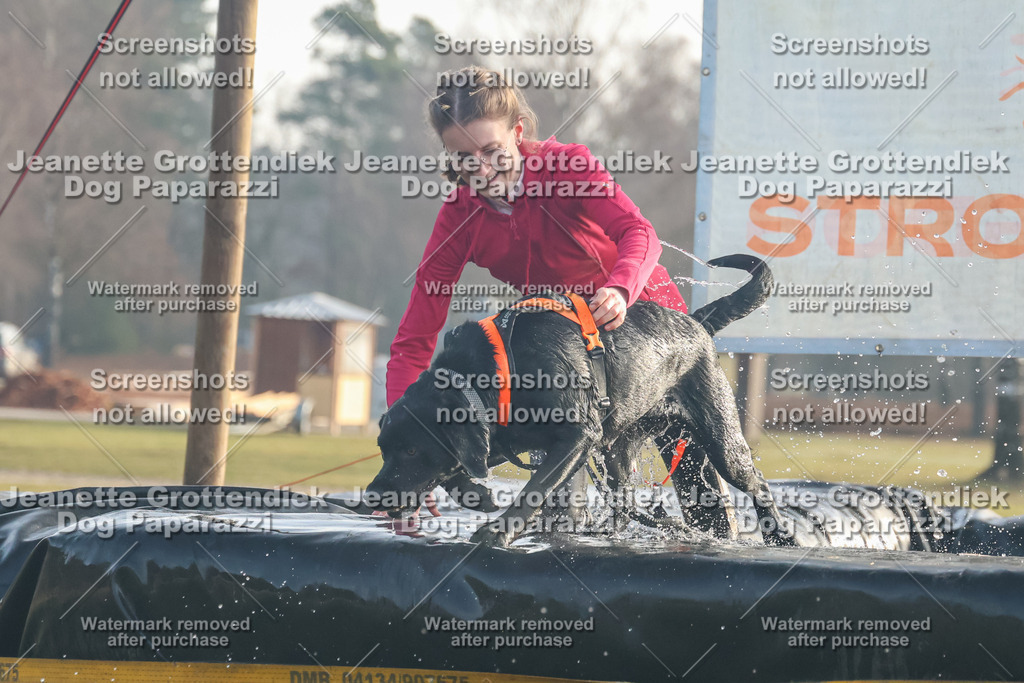 Dog Paparazzi - SD North Sa 830-900-139 | Dog Paparazzi Jeanette Grottendiek Fotografie & Videografie - Realisiert mit Pictrs.com
