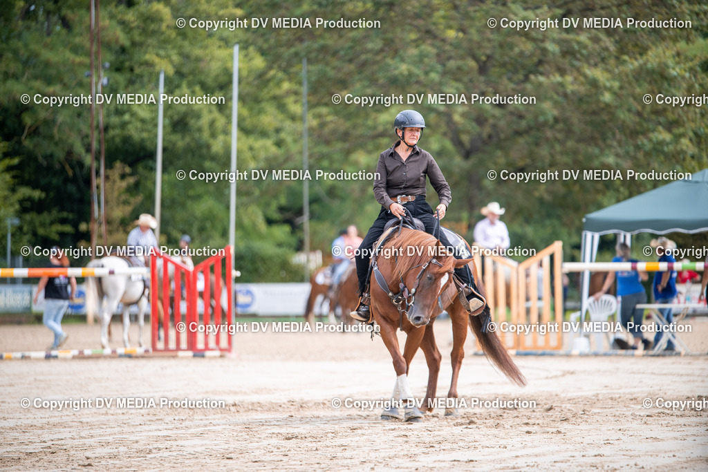 ZS3_5031 | dv-media-shop - Realisiert mit Pictrs.com