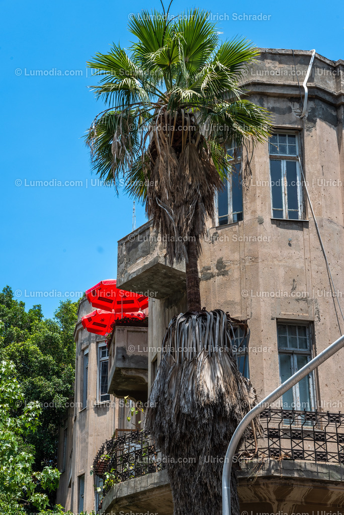 10972-10158 - Tel Aviv - Rothschild Boulevard | Stockfoto und Bilderpool mit Bildmaterial aus Deutschland, dem Harz, Halberstadt, Quedlinburg, Wernigerode und weltweit. Qualitativ hochwertige und professionelle Fotos anschauen und kaufen. - Realisiert mit Pictrs.com