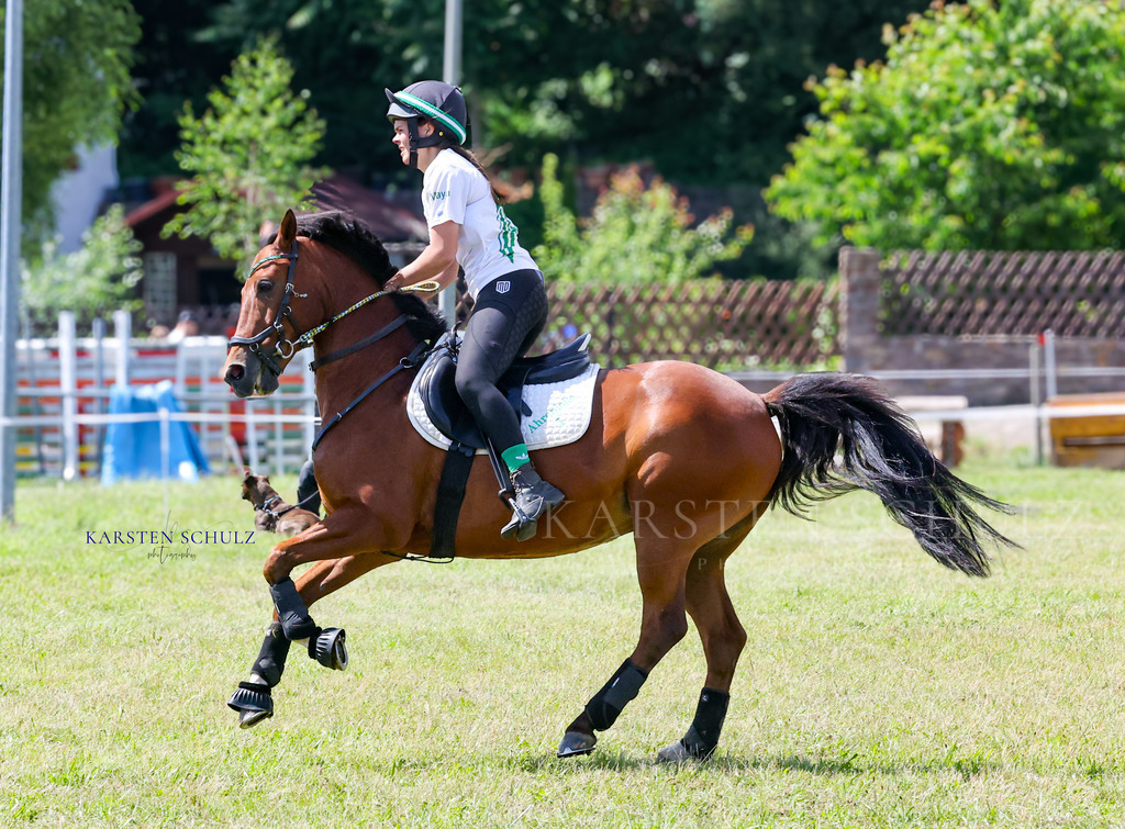 1B3A4216 | Reitsport Reiten