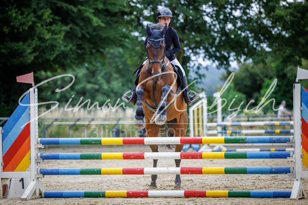 20260705-_3LI4350 | Tierfotografie Pferde, Hunde, Katzen, Haustiere.
Turnierfotografie Reitturniere, Reiten, Springreiten, Dressur in Hanau, dem Main-Kinzig-Kreis und dem Rhein-Main- Gebiet um Frankfurt
