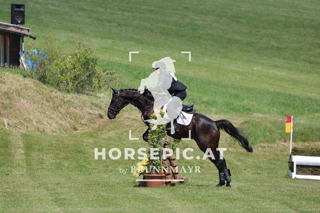0P6A8949 | Willkommen bei Brunnmayr - Design & Fotografie – Ihrem Spezialisten für Reitturniere und Pferdeveranstaltungen in Oberösterreich, Salzburg und Bayern! Seit über 17 Jahren sind wir leidenschaftlich dabei.