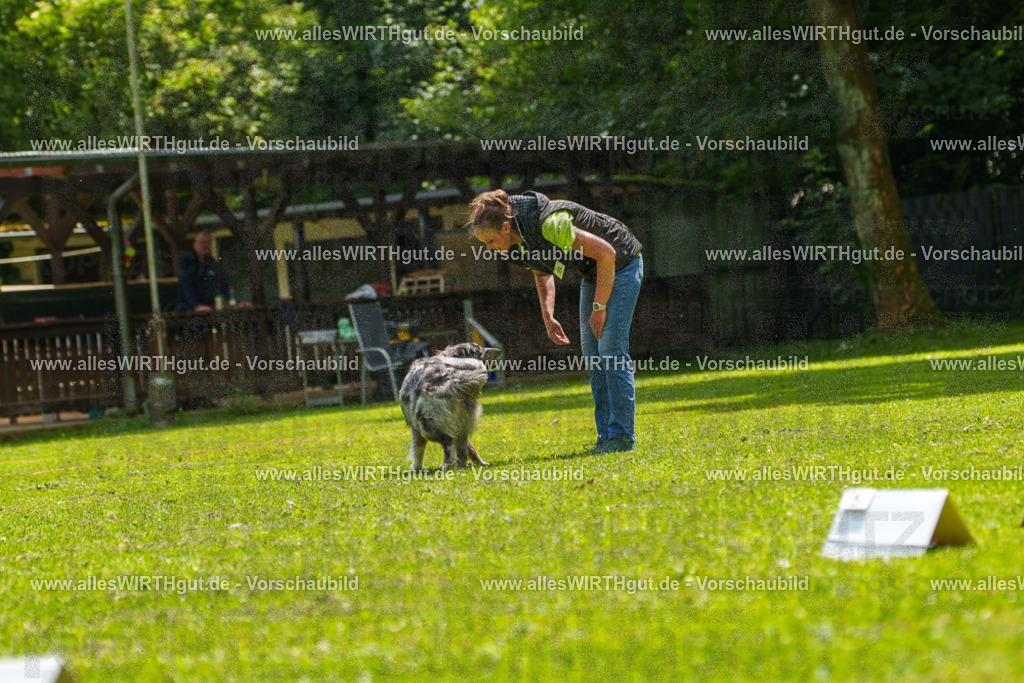 @allesWIRTHgut_Tierfotografie - www.allesWIRTHgut.de - 7R504829 | Professionelle Tierfotografie in Mönchengladbach von Daniel Wirth (allesWIRTHgut). Liebevolle & natürliche Bilder von Hunden & Katzen für unvergessliche Erinnerungen.