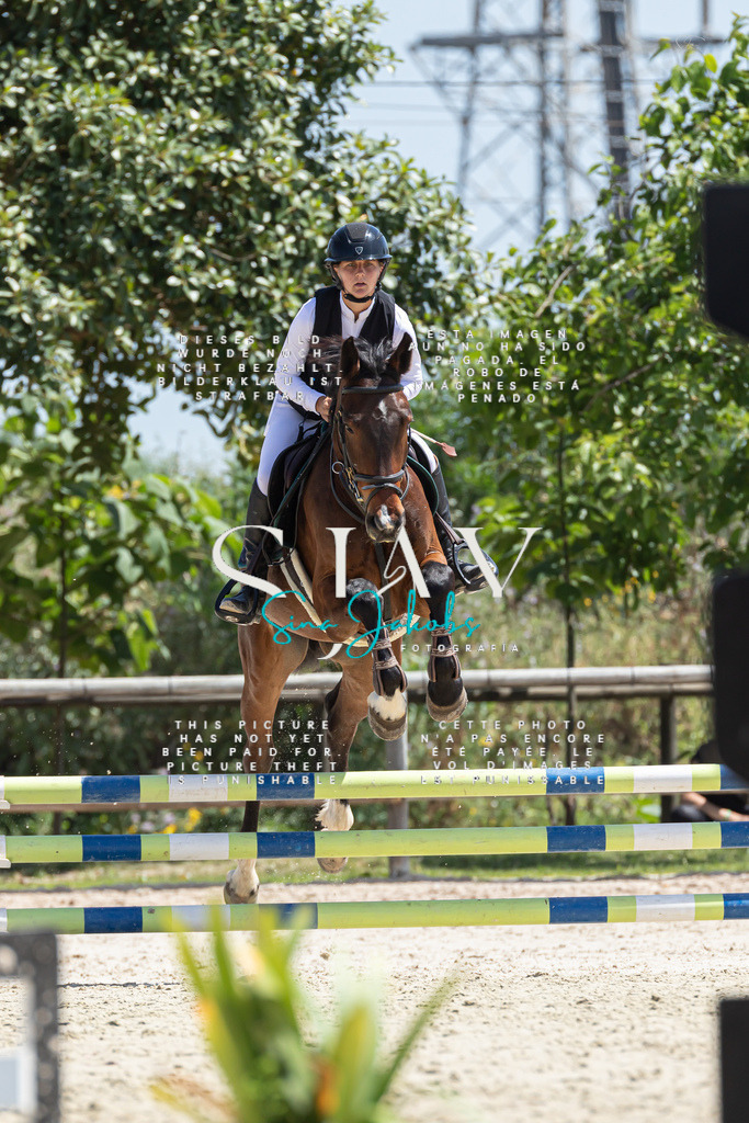 IMG_0464 | s-jay-photography - Realisiert mit Pictrs.com