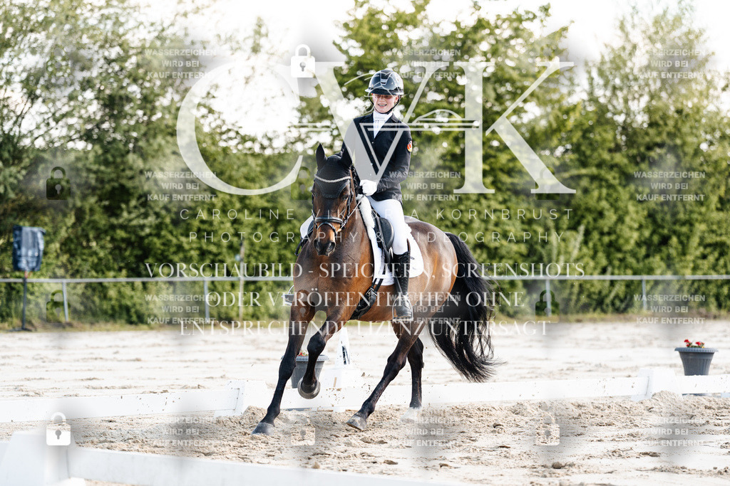 CK909564 | Turnierfotografie Pferdefotografie Trier Rheinland-Pfalz Pferdesport Reitsport Tierfotografie Sportfotografie Pferdevideo Pferdevideografie Equestrianvideography equestrianphotography  - Realisiert mit Pictrs.com