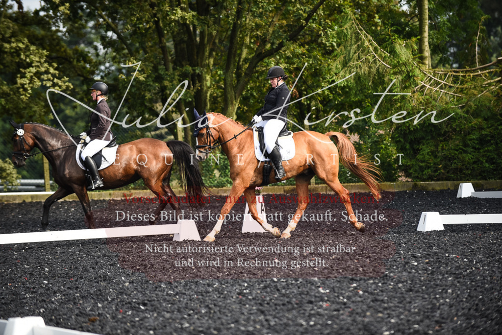 DSC_3046 | Pferde- und Turnierfotografie in Westsachsen. Pferdeportraits, Auftragszeichnungen und intuitive Kunst.