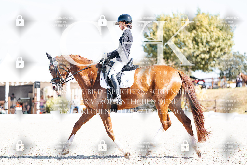 CK904104 | Turnierfotografie Pferdefotografie Trier Rheinland-Pfalz Pferdesport Reitsport Tierfotografie Sportfotografie Pferdevideo Pferdevideografie Equestrianvideography equestrianphotography  - Realisiert mit Pictrs.com