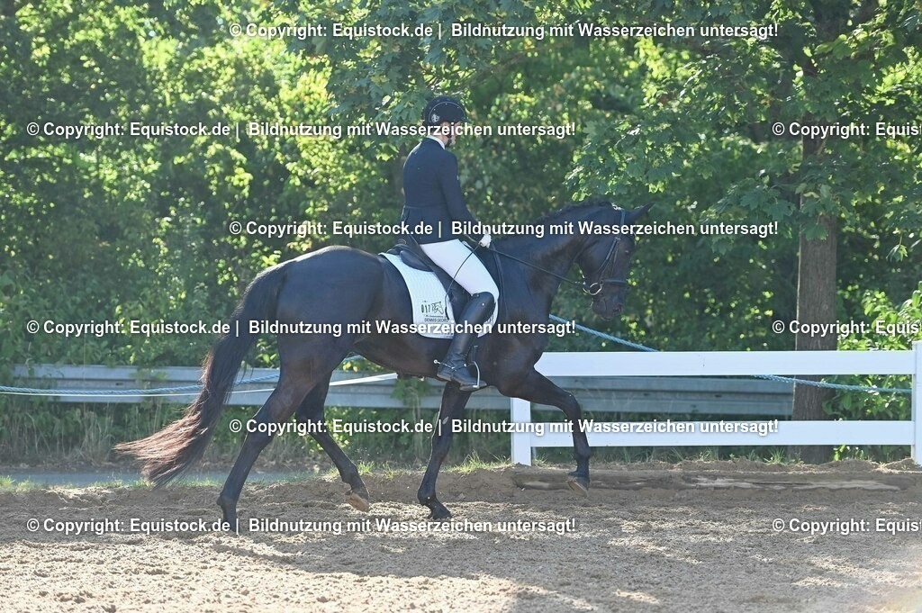 20230715_06_Dressurpferdeprfg. Kl.A_0001 | equistock