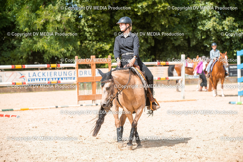 EWP_6718 | dv-media-shop - Realisiert mit Pictrs.com