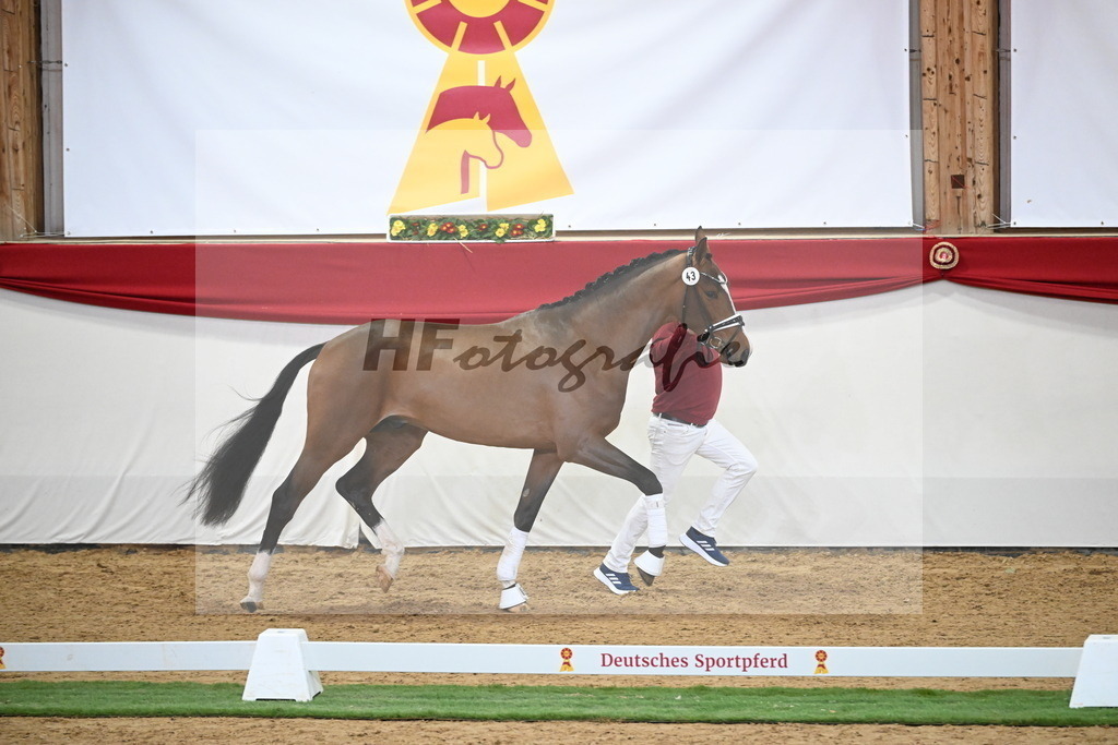 Kat.-Nr. 43 v. Benicio_Fleischmann_2250021 | hf-fotografie - Realisiert mit Pictrs.com