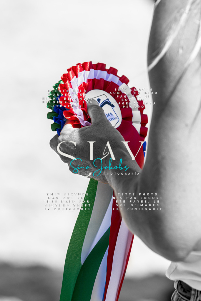 IMG_7048 | s-jay-photography - Realisiert mit Pictrs.com