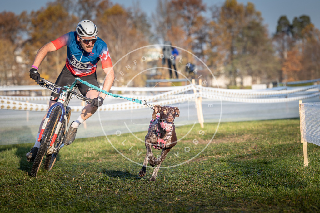 CaniXpix_0L8A3784 | Hundefotografie, Tierfotograf, Pfotenfotografie, Fotoshooting Hund, Hunde Portrait, Hundesport, Hundeportraits, Heideshooting, Hunde, Sportfotograf, Hundefotograf, Turnierhundsport, THS,  - Realisiert mit Pictrs.com