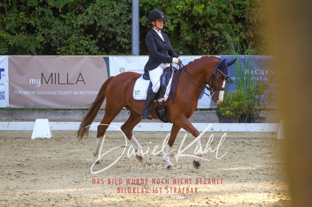 DKP41647 | Turniersportfotografie; Pferdefotografie; Dressurfotografie