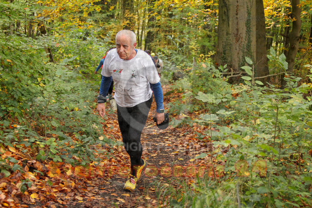 251026_1249_EV4_5861 | Sportfotografie im Rhein-Sieg Kreis, Köln, Bonn, NRW, Rheinland Pfalz, Hessen, etc. Unser Tätigkeitsfeld umfasst den Laufsport vom Volkslauf über den Marathon, Duathlon, Triathon bis zum Ultralauf wie Kölnpfad Ultra oder Schindertrail.