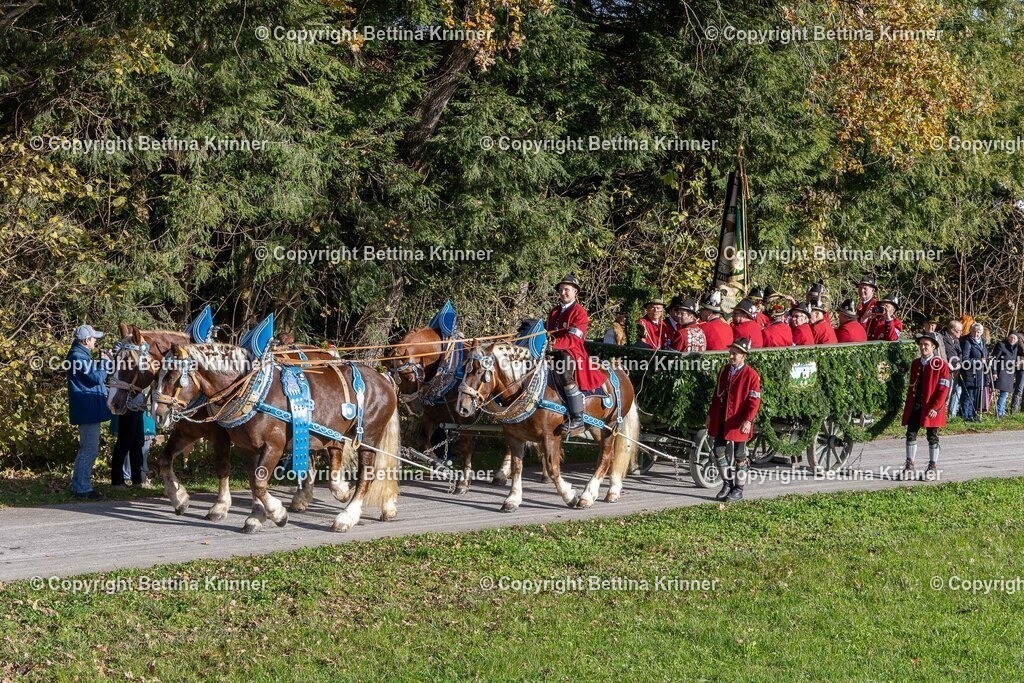 LBT24-348 | foto-bettina-krinner - Realisiert mit Pictrs.com