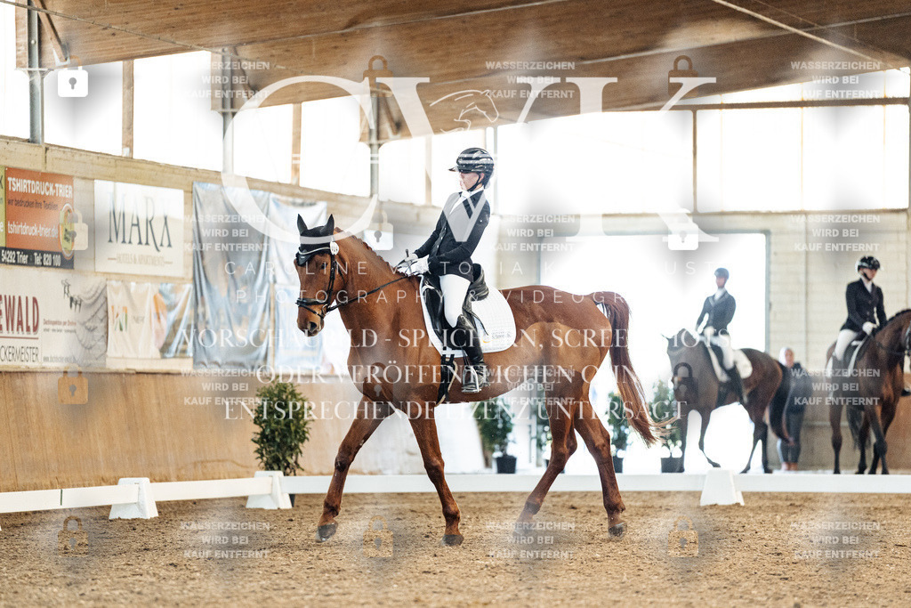CK908682 | Turnierfotografie Pferdefotografie Trier Rheinland-Pfalz Pferdesport Reitsport Tierfotografie Sportfotografie Pferdevideo Pferdevideografie Equestrianvideography equestrianphotography  - Realisiert mit Pictrs.com