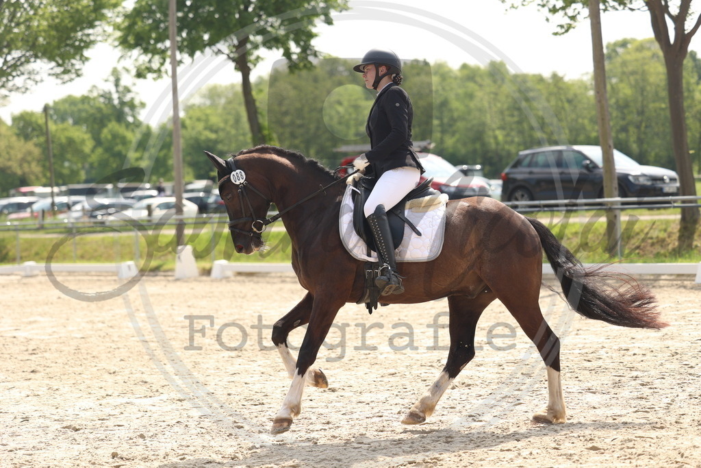 994A6548 | sabrinanicolaifotografie - Realisiert mit Pictrs.com