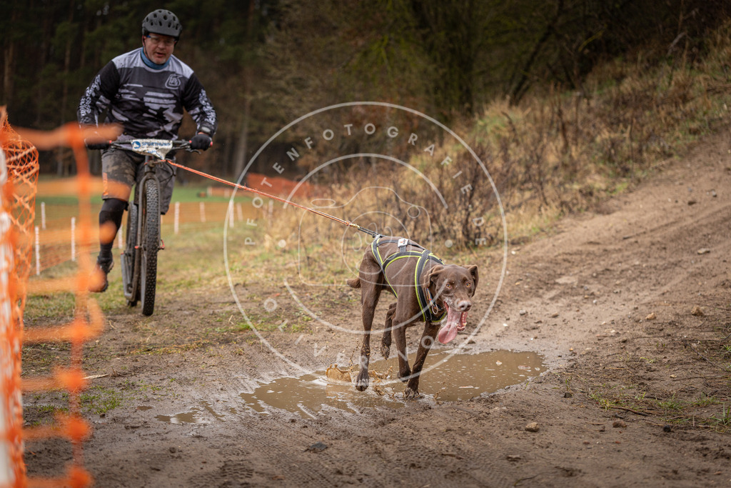 DV3A9452 | Hundefotografie, Tierfotograf, Pfotenfotografie, Fotoshooting Hund, Hunde Portrait, Hundesport, Hundeportraits, Heideshooting, Hunde, Sportfotograf, Hundefotograf, Turnierhundsport, THS,  - Realisiert mit Pictrs.com