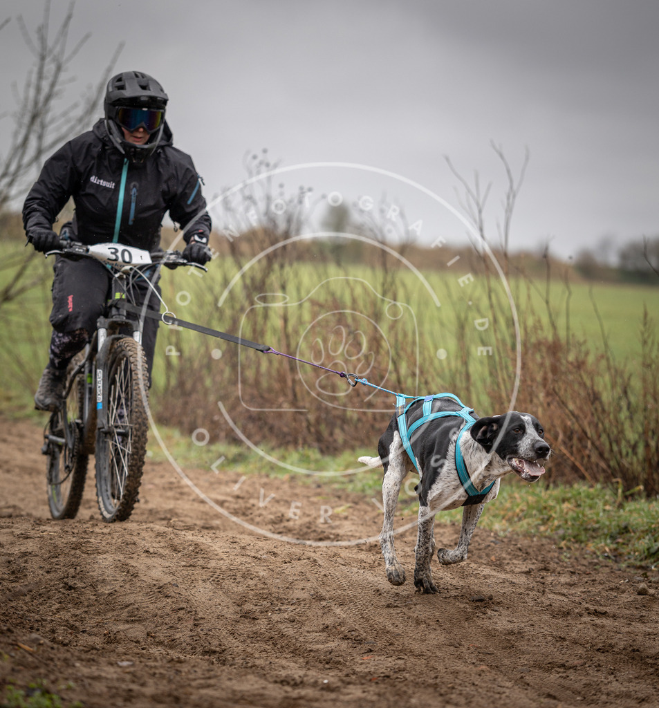 DV3A9106 | Hundefotografie, Tierfotograf, Pfotenfotografie, Fotoshooting Hund, Hunde Portrait, Hundesport, Hundeportraits, Heideshooting, Hunde, Sportfotograf, Hundefotograf, Turnierhundsport, THS,  - Realisiert mit Pictrs.com