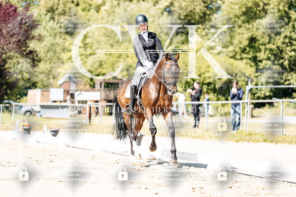 CK904979 | Turnierfotografie Pferdefotografie Trier Rheinland-Pfalz Pferdesport Reitsport Tierfotografie Sportfotografie Pferdevideo Pferdevideografie Equestrianvideography equestrianphotography  - Realisiert mit Pictrs.com