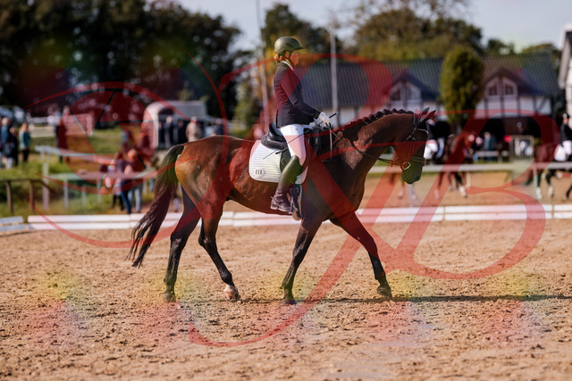 2026_10_03_Siefer-Hof_130220_Z81_56127753 | Professionelle Reitsport-, Turnier- und Eventfotografie von Robert Broda. Galerien mit ausgewählten und bearbeiteten Bildern direkt online ansehen und bestellen.