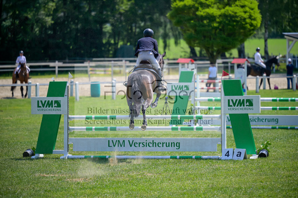Reitturnier Voxtrup | Entdecke hochwertige Reitturnierfotos von Foto Oger. Professionell, emotional und authentisch – jetzt Lieblingsmomente im Shop bestellen.Deutschlandweite Turnierfotografie. - Realisiert mit Pictrs.com
