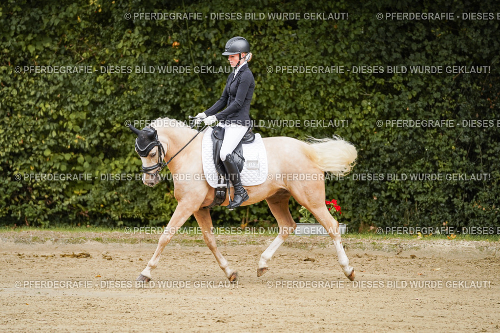 DSC08513 | Pferdegrafie