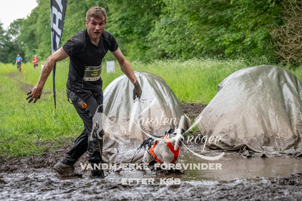 1547_ZZ90407-Bearbeitet | kk-dogfotos