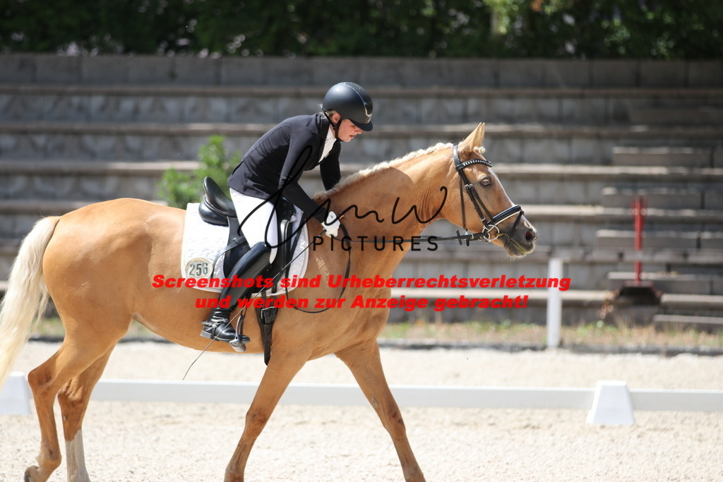 IMG_4645 | lmwpictures - Realisiert mit Pictrs.com