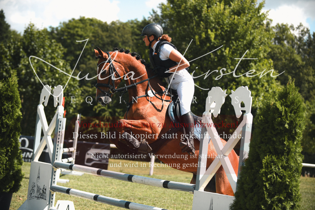 DSC_6596 | Pferde- und Turnierfotografie in Westsachsen. Pferdeportraits, Auftragszeichnungen und intuitive Kunst.