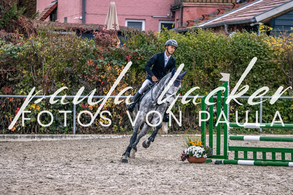 IMG_4799 | Erleben Sie dynamische Sport- und emotionale Tierfotografie in Süddeutschland mit Fotos von Paula. Spezialisiert auf Pferde- und Hundefotografie sowie Sportevents. Kontaktieren Sie mich für einzigartige und ausdrucksstarke Bilder Ihrer besonderen Momente. - Realisiert mit Pictrs.com