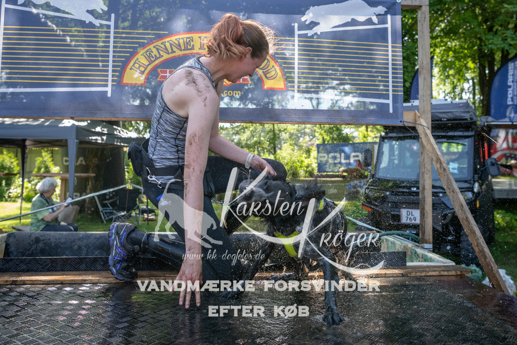 1521_ZZ90861 | kk-dogfotos