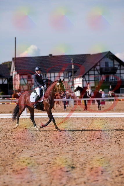 2026_10_03_Siefer-Hof_125730_Z81_45786719 | Professionelle Reitsport-, Turnier- und Eventfotografie von Robert Broda. Galerien mit ausgewählten und bearbeiteten Bildern direkt online ansehen und bestellen.