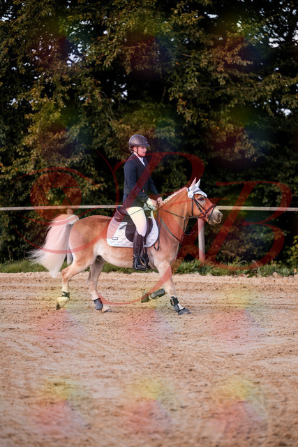 2026_10_03_Siefer-Hof_145422_Z81_34275504 | Professionelle Reitsport-, Turnier- und Eventfotografie von Robert Broda. Galerien mit ausgewählten und bearbeiteten Bildern direkt online ansehen und bestellen.