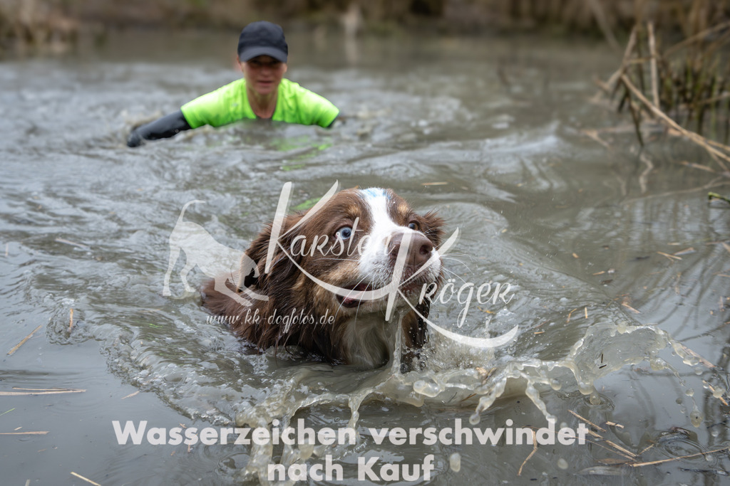 1013_ZZ97098 | kk-dogfotos