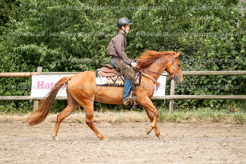 DSC01391 | Pferdegrafie