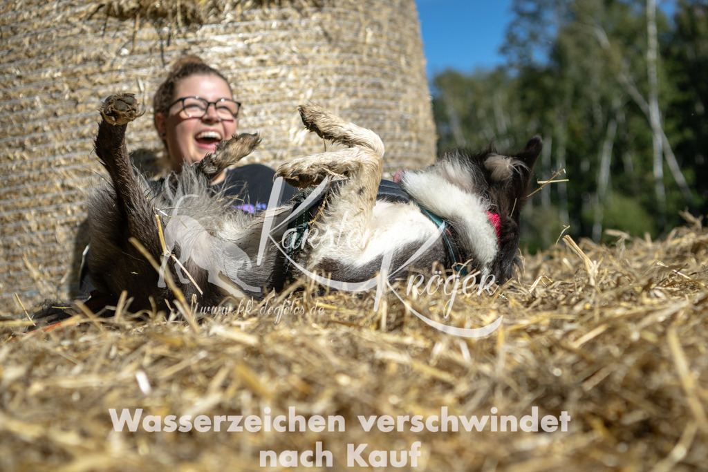 1209_ZZ90553-2 | kk-dogfotos