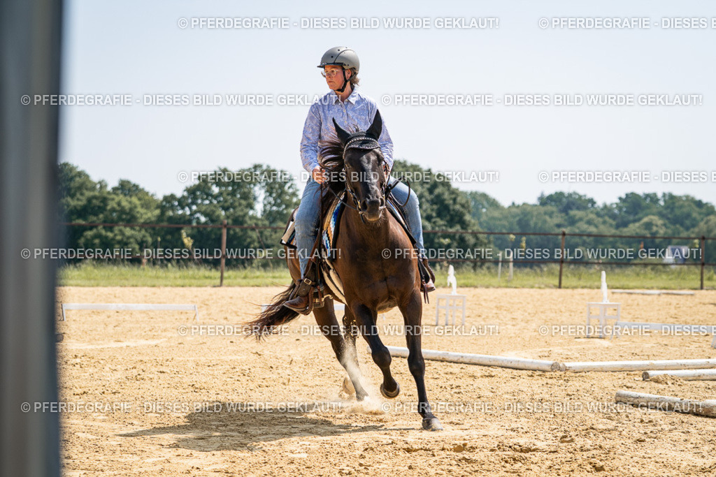 DSC00655 | Pferdegrafie