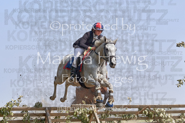 09-23 Jagd Perdöl_MCH0102_Marina Hewig | Fotografie, FotoArt, PferdesportArt, Pferdesportfotografie, Landschaftsfotografie, Reisefotografie, Reise, Pferde - Realisiert mit Pictrs.com