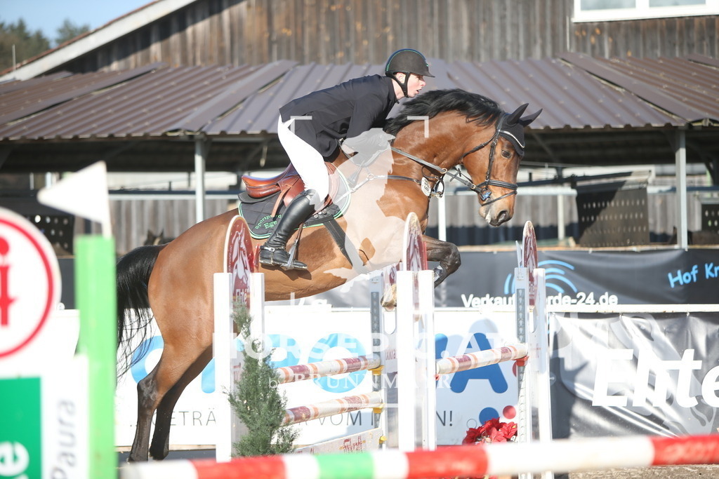 AS8V4821 | Willkommen bei Brunnmayr - Design & Fotografie – Ihrem Spezialisten für Reitturniere und Pferdeveranstaltungen in Oberösterreich, Salzburg und Bayern! Seit über 17 Jahren sind wir leidenschaftlich dabei.